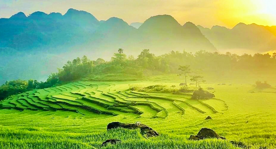 Pu Luong Nature Reserve in Thanh Hoa, Vietnam